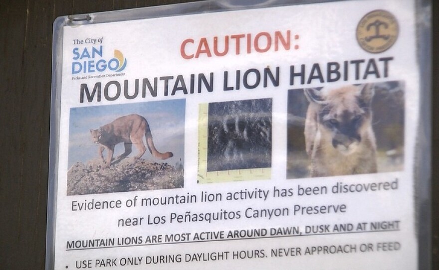 mountain_lion_habitat_photo_t800_ZwHzj98.jpg