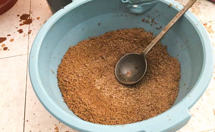 Thiakry (millet), an ingredient in Senegal's traditional Easter ngalakh porridge.