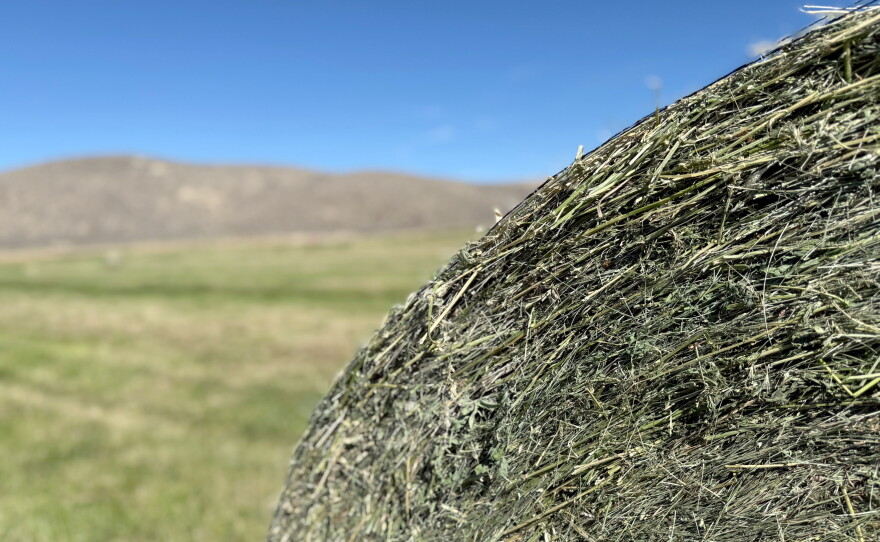 A round bale of hay sits waiting to be collected near New Princeton, Oregon.