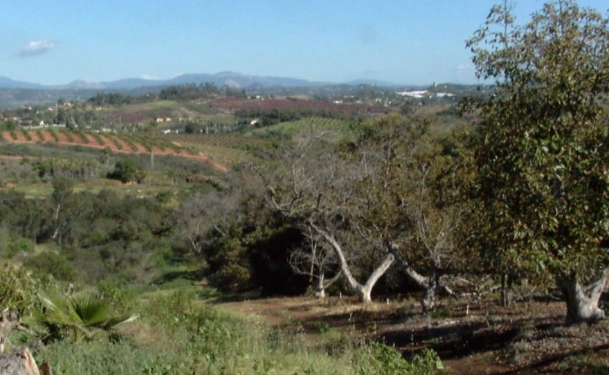 The site of the proposed Lilac Hills Ranch, a master-planned community of 1,700 homes near Valley Center, March 8, 2016.