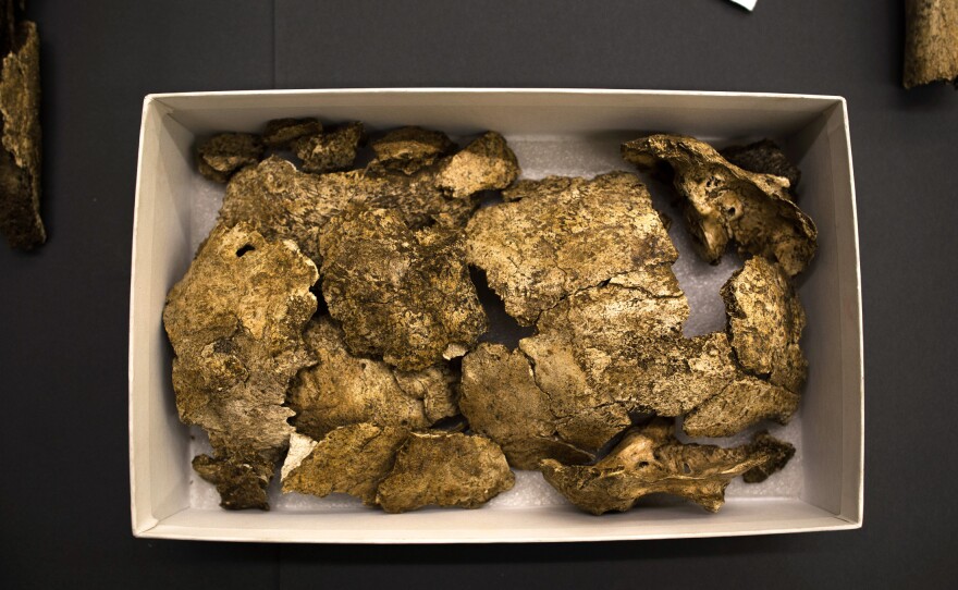 Only about 30 percent of each skeleton was recovered, including these pieces of one man's cranium.