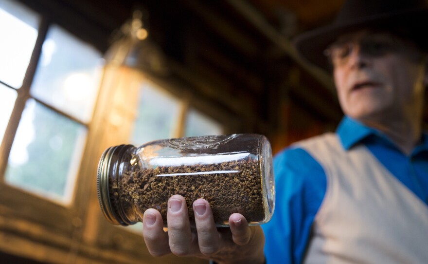 John Kallas, director of Wild Food Adventures, leads a class on making acorn pudding at his home in Portland, Ore. He shows students how to shell, grind, process and leach acorns to get a subtly flavored flour.