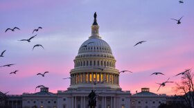Birds fly by as the sun rises behind the U.S. Capitol on March 18, 2026.