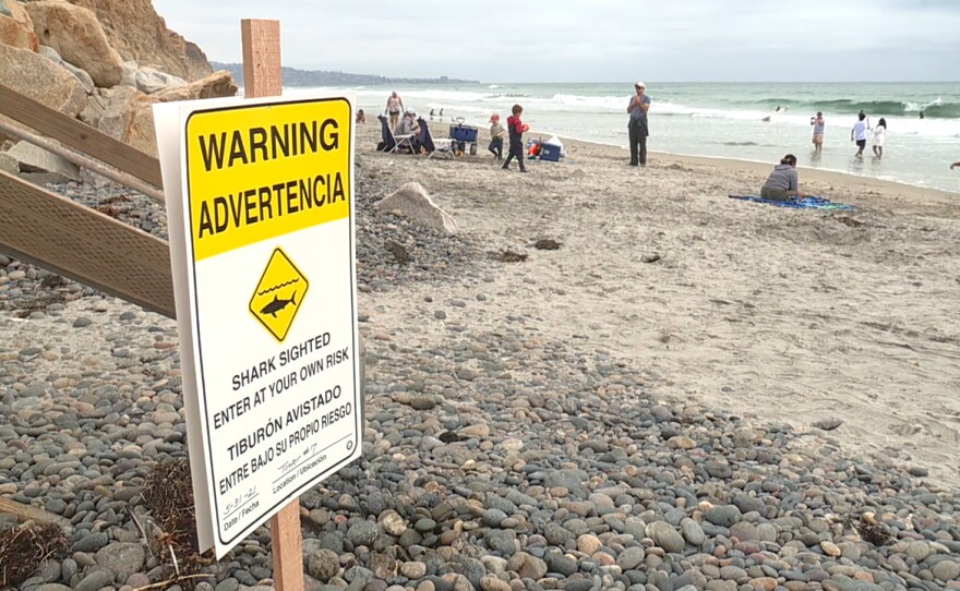 A sign warning beachgoers of a great white shark spotted just off shore is shown at Torrey Pines State Beach on May 31, 2021.