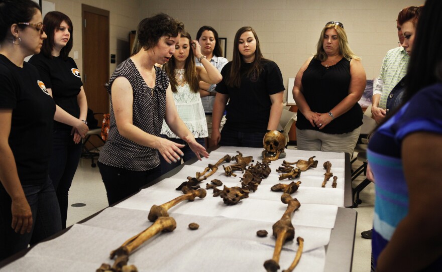 Angela Dautartas demonstrates how to examine a human skeleton for a group of visiting college students.