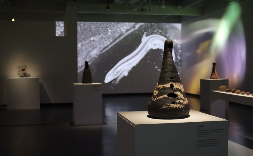 Francisco Eme's video, sculpture and sound work is shown installed at Mesa College Art Gallery in 2023.