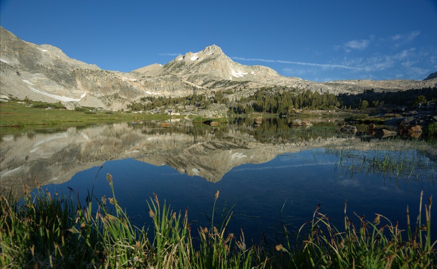 Saddlebag Lake, the location of a key Edith's checkerspot butterfly study site for scientists Camille Parmesan and Michael Singer. (Saddlebag Lake, Calif., USA)