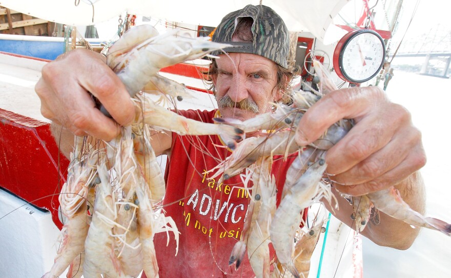Louisiana drivers would be able to add the message "I'm a Cajun" on their licenses, under a bill making its way through the statehouse. Here, shrimp fisherman Merlin Boudreaux holds up part of his catch in Morgan City, St. Mary Parish, La.