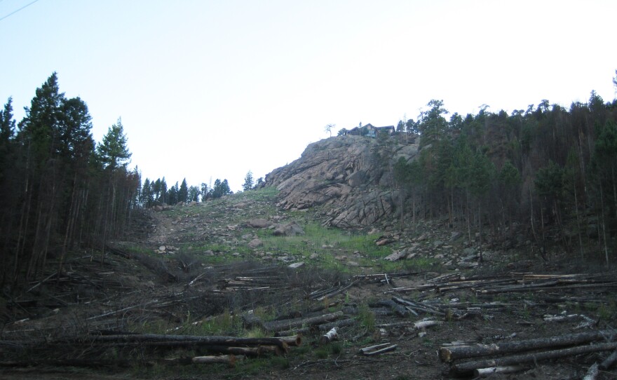 The rock and grass leading up to Judy and Harry Gaylor's neighbor's house, in Evergreen, Colo., used to be covered in trees.