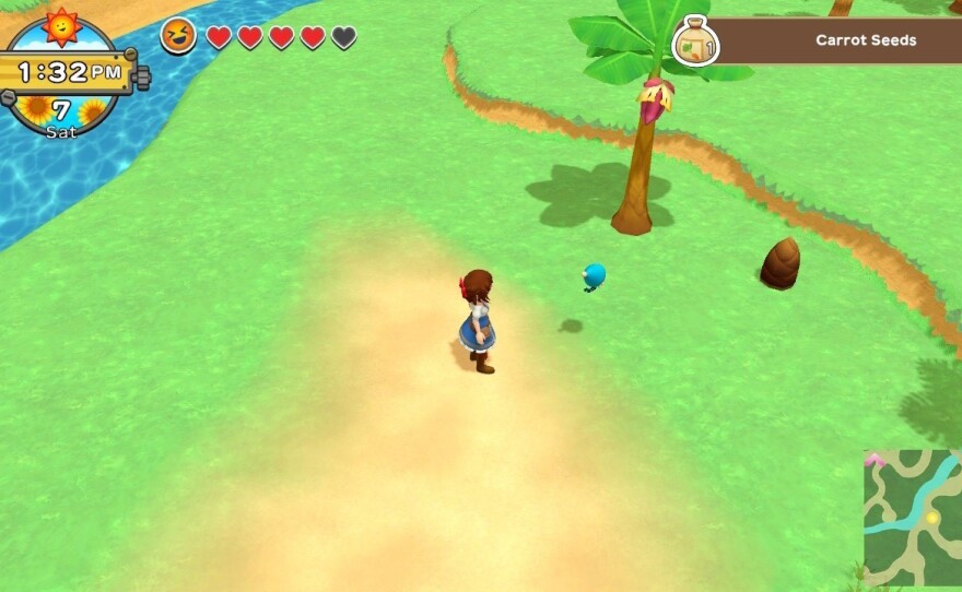 Running around the map looking for sprites that can give you seeds takes up a LOT of time in <em>HM:OW.</em>