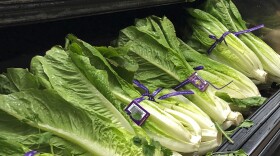 This Nov. 20, 2018 file photo shows Romaine Lettuce in Simi Valley, Calif. U.S. health officials are telling people to avoid romaine lettuce grown in Salinas, Calif., Friday, Nov. 22, 2019. 