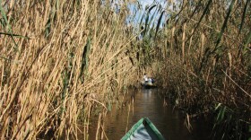 Floating through the Volga River delta as it approaches the Caspian Sea. 