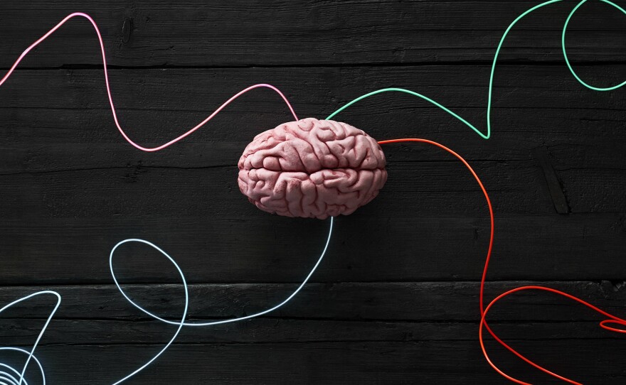 In experiments involving people with epilepsy, targeted zaps of the lateral orbitofrontal cortex region of the brain helped ease depressive symptoms.
