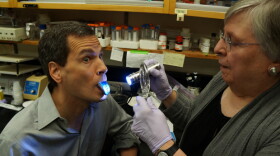 Taste expert Linda Bartoshuk examines David Pogue's tongue, counting the number of fungiform papillae on the surface.