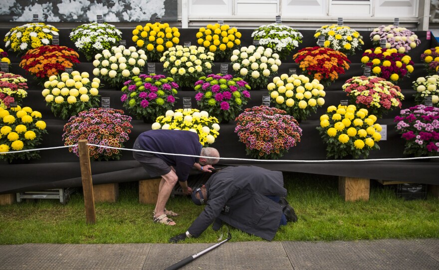A police officer, with assistance, performs last-minute security checks at the flower show.