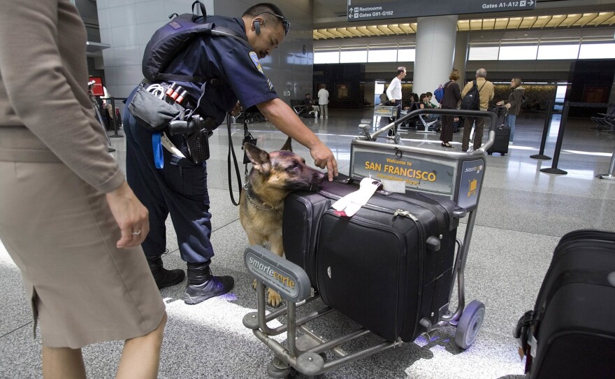 Sgt. Cliff Java of the San Francisco Police Department and his dog, Jacky, check luggage at San Francisco International Airport on July 3, 2007.