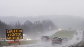 A sign warns passing motorists about exotic animals on the loose from a wildlife preserve October 19, 2011 in Zanesville, Ohio.