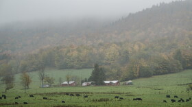 White Grass Ski Touring Center in Canaan Valley , W.Va., is celebrated for its unusually curvy and hilly cross-country skiing terrain.