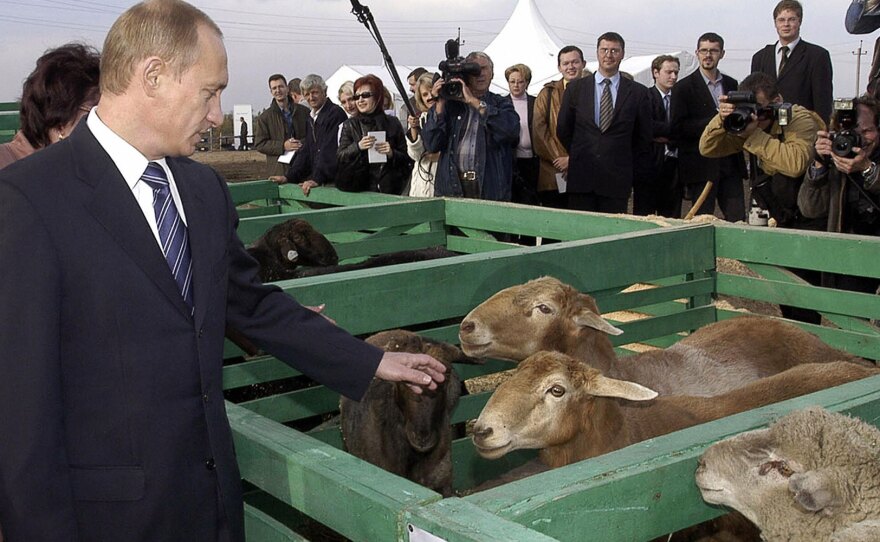 While Russia's president, Vladimir Putin visits a farm in the Volga region, outside Saratov, in September 2004. Since then, Putin has helped bail out farmers in the area, but many observers worry about his party's seemingly pervasive power.