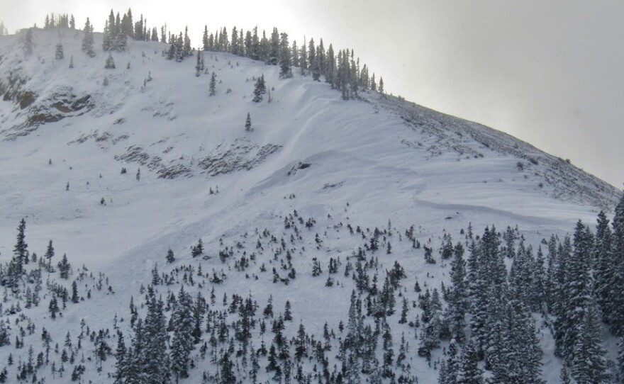 A skier was killed on Friday when he was buried in an avalanche in Colorado's Anthracite Range. The crown of the avalanche was on the right, below the rocky ridge. The debris washed through the trees below.