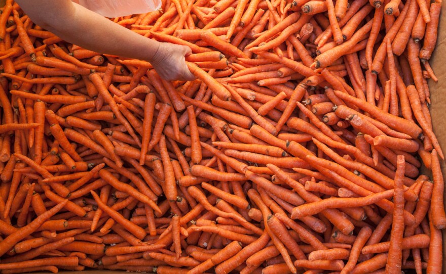 Crooked carrots reclaimed by Ron Clark and his team at Better Harvests. We've shown you entertaining examples of malformed produce before. But "the funny thing about ugly produce," Clark says, "is that most of this produce is really beautiful. That's the irony."