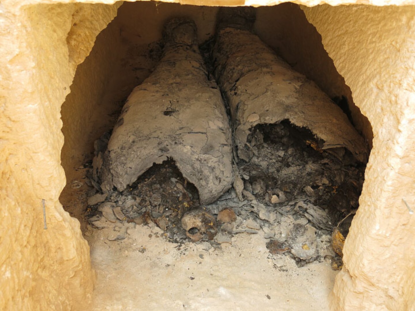 Close up of mummies and skeletons discovered at the tomb in the necropolis.