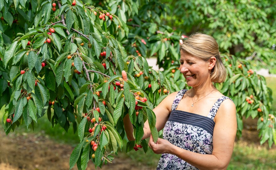 In Michigan, Samantha Brown explores The Cherry Republic, filled with cherry products.