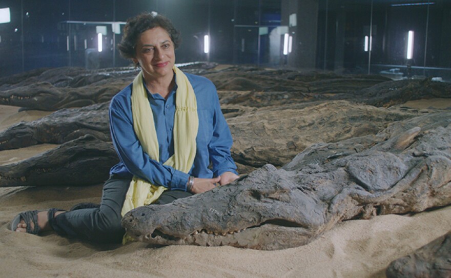 Professor Salima Ikram with a crocodile at the Crocodile Museum in Luxor, Egypt.