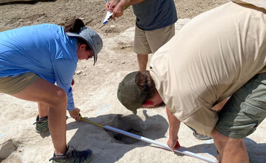 Researchers are working to map and collect data on the tracks while they are still visible. Eventually rain will come and the tracks will be covered again, the Texas Parks and Wildlife Department said.