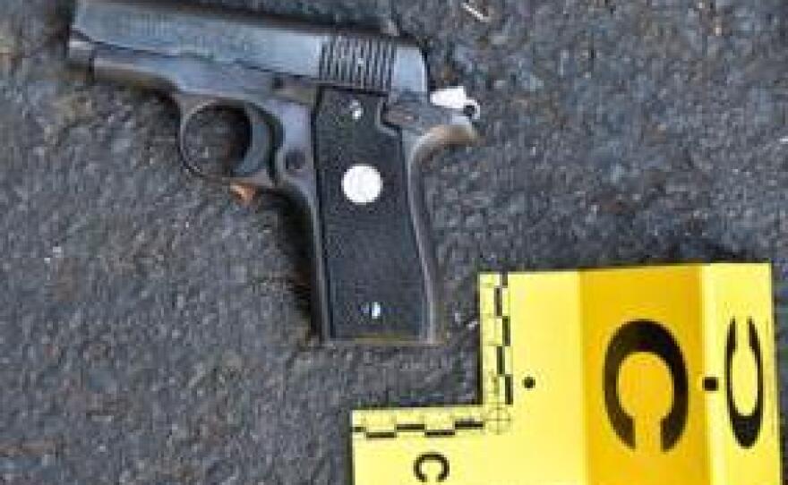 The gun allegedly in Scott's possession at the time of his encounter with police officers.