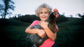Received with critical acclaim at the 2001 Sundance Film Festival, "The Natural History Of The Chicken" focuses on ordinary people and their extraordinary chickens. Pictured: Emily Simpson and chicken.