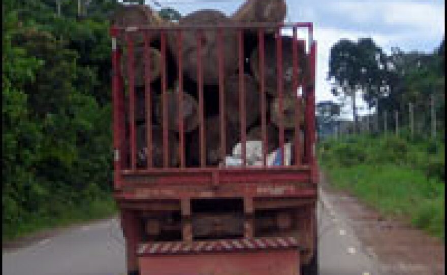 Logging is one of the chief culprits of deforestation. This stretch of road lies within the Brazilian state of Para. New government statistics show it has lost more trees than any other state in the Amazon.