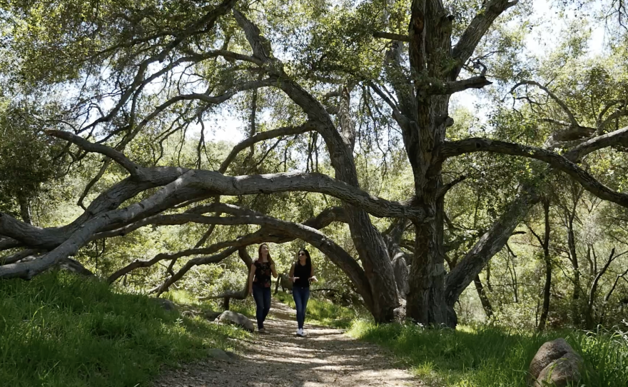 Maya Trabulsi and Jessica Johnson walk under a canopy of oak trees at Felicita Park in Escondido, California on April 11. 2025.