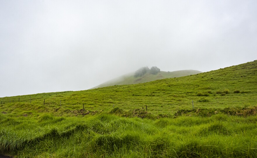 Mist lingers over the rolling hills of Waimea.