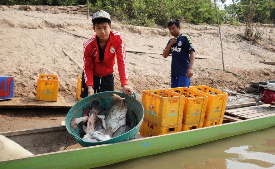 Nearly everyone fishes for a living on Laos' Don Sadam Island, near the site of the controversial Don Sahang dam. Locals and environmentalists alike are worried about the dam's effects on fish migration.