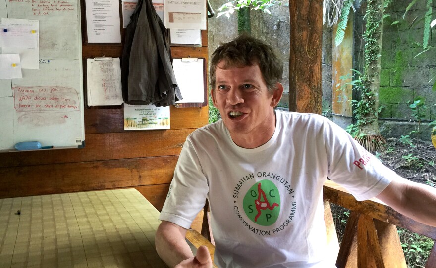 Ian Singleton, director of the Sumatran Orangutan Conservation Program, also campaigns to stop the illegal clearing of forests for palm oil — which continues despite a moratorium on destroying primary forests and peat land.
