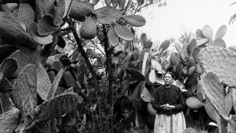 Pictured Juanita de Dios Machado Wrightington was a pioneer, a midwife, healer, nurse, and community leader. She helped build the foundation of a growing San Diego during the 1800s.