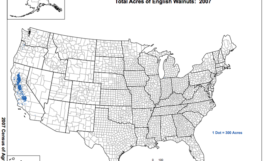 Indicated in blue, this 2007 map shows walnut production in the U.S., which is centered in California.