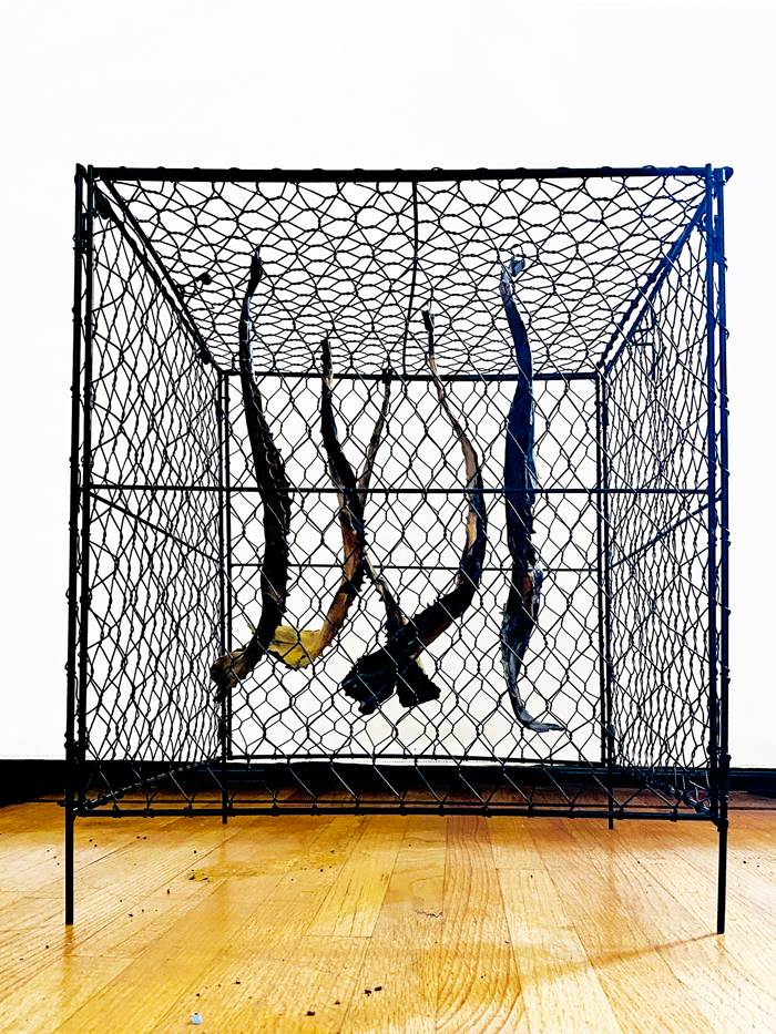 Wax and Bones sculpture by Margaret Noble