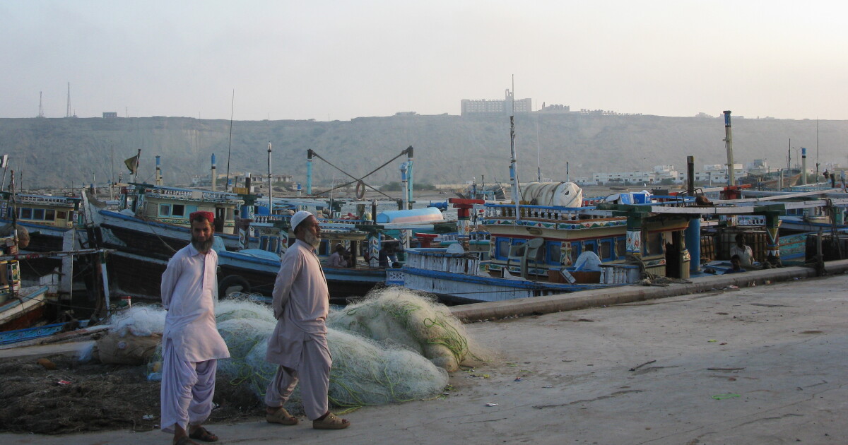 Pakistan Donga Vip The Shame Of Being A VIP In Pakistan | KPBS Public Media