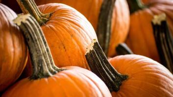 Bonita Pumpkin Farm