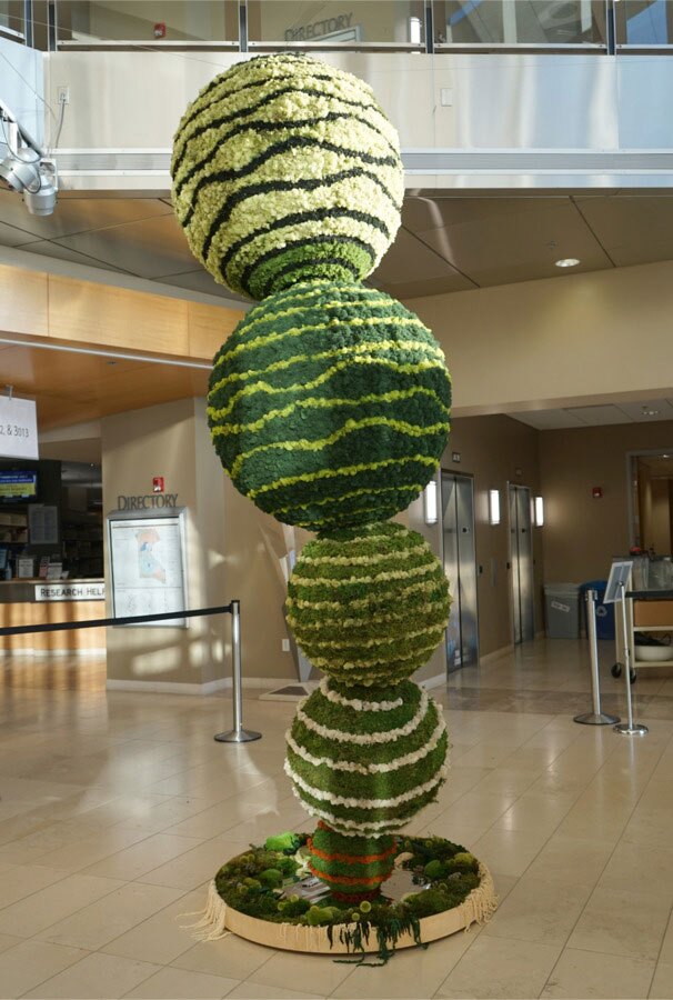 Britton Neubacher's "Song of Increase," made of preserved moss and other botanicals, is shown installed at the CSUSM Library in an undated photo.