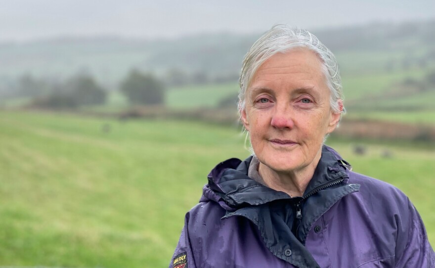 Jill Perry, a retired teacher and secretary for the local Green Party, opposes the new mine. She says the local economy has never recovered from the closure of the mines and some people here "regard their heritage as something that can be revived."