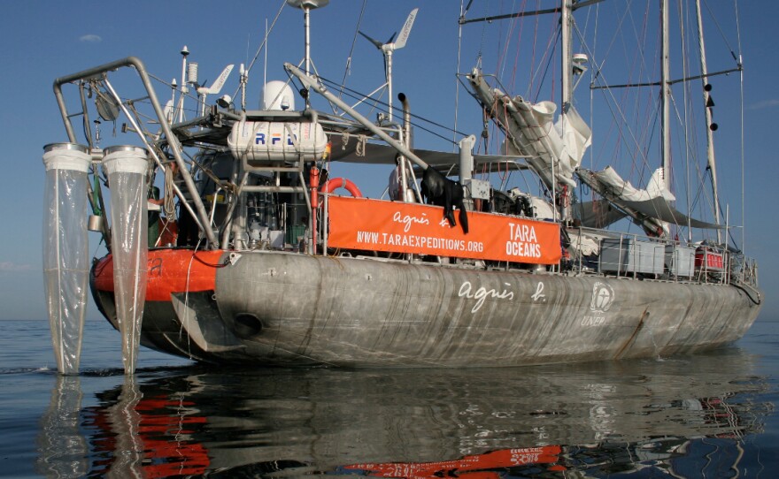 The 118-foot research schooner Tara made an around-the-world expedition over 21/2 years. Scientists aboard discovered up to a million new species of plankton. Now begins the work of determining how climate change might be affecting these microorganisms.