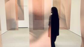 Artist Amel Janae walks through her suspended textile and photography installation at Swish Projects on Feb. 10, 2021. The work is on view by appointment (or can be seen through the front window) through Feb. 21. 
