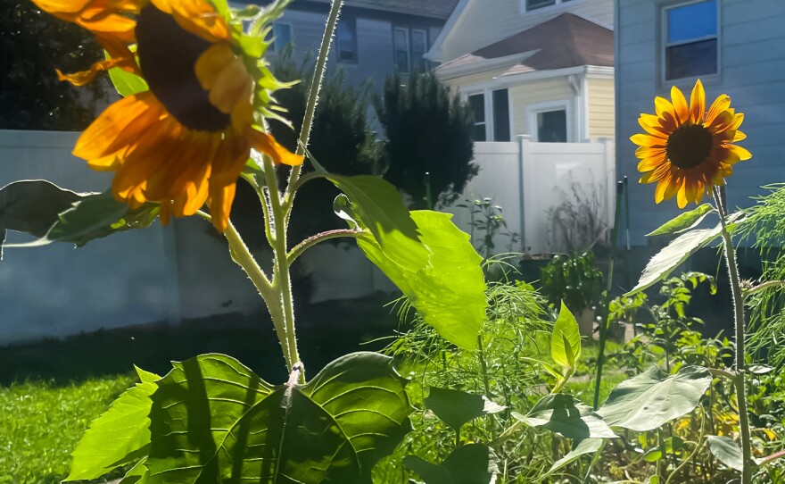 Mena Bingham grew this memorial garden to honor her cat Sara.
