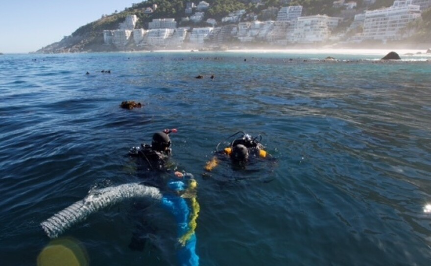 Underwater archaeology researchers explore the site of the São José slave ship wreck near the Cape of Good Hope in South Africa.