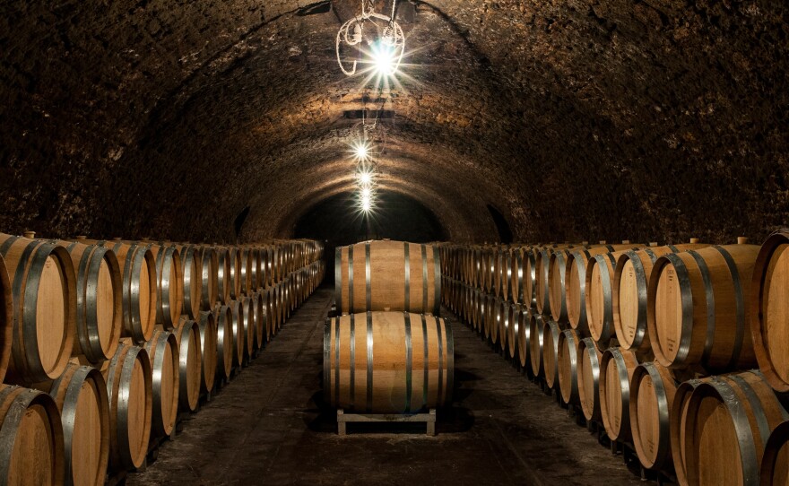 Inside Jacques Selosse's cellars, one of the leading grower Champagnes, where many new producers have apprenticed.