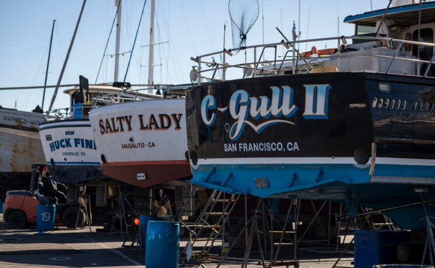 Jared Davis' boat, Salty Lady, and others are in dry dock in Richmond, March 8, 2023. The salmon season will be shut down this year.