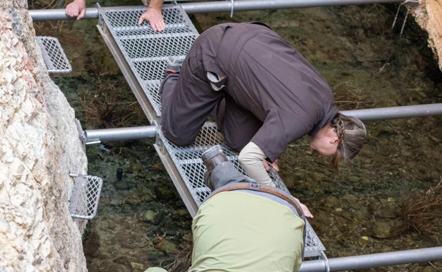 U.S. Fish and Wildlife Service biologists Michael Schwemm (top) and Jenny Gumm (middle), with National Park Service biologist Jackson Glomb survey pupfish topside, while divers search below.